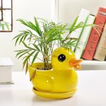 Maceta pato grande
