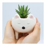 Maceta Cerámica Diseño Zorro 3 patas - Image 9