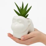 Maceta Cerámica Diseño Monito/Gorila - Image 10