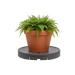 Porta Macetas con Ruedas y Bandeja Colectora de Agua - Image 2