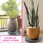 Porta Macetas con Ruedas y Bandeja Colectora de Agua - Image 10