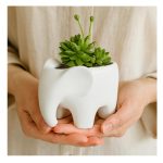 Maceta Cerámica Diseño Elefante Asiático - Image 12